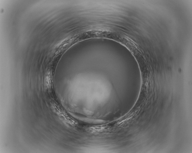 X0000086791014200704131234