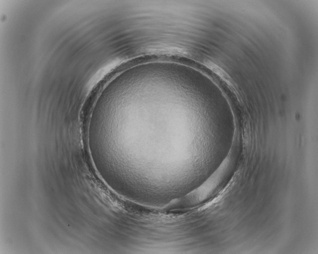 X0000086791022200704131234