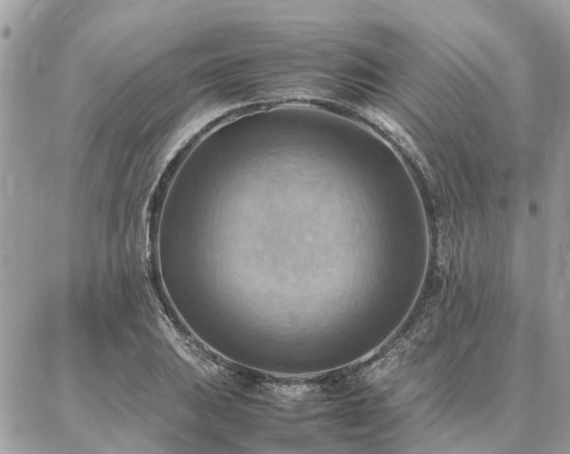 X0000086791031200704131235