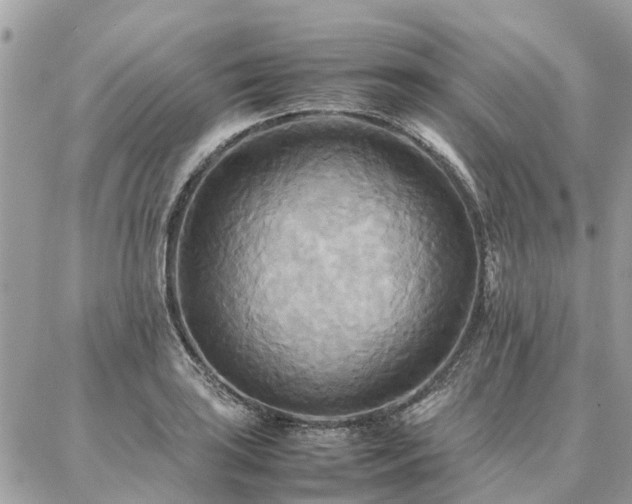 X0000086791035200704131235