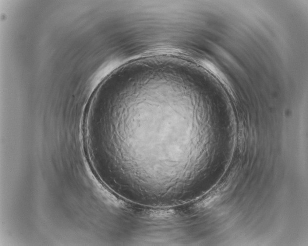 X0000086791055200704131235