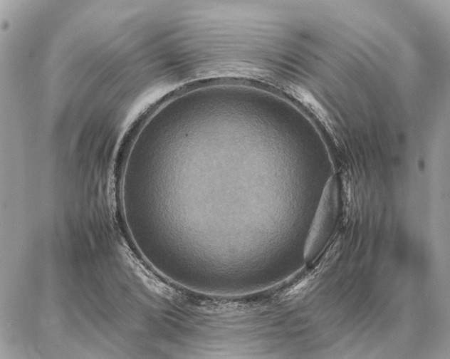 X0000086791072200704131234