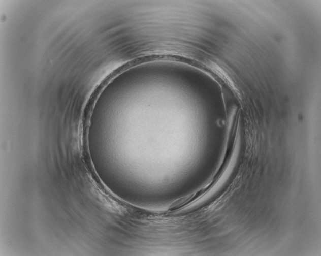 X0000086791076200704131234