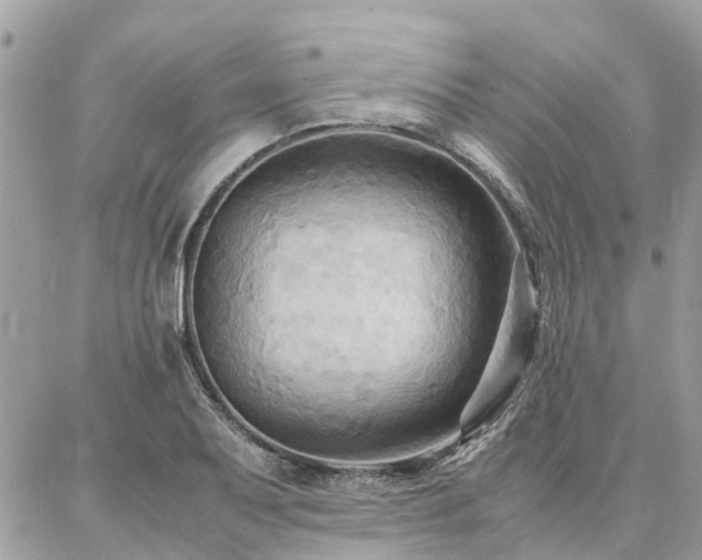 X0000086791079200704131234