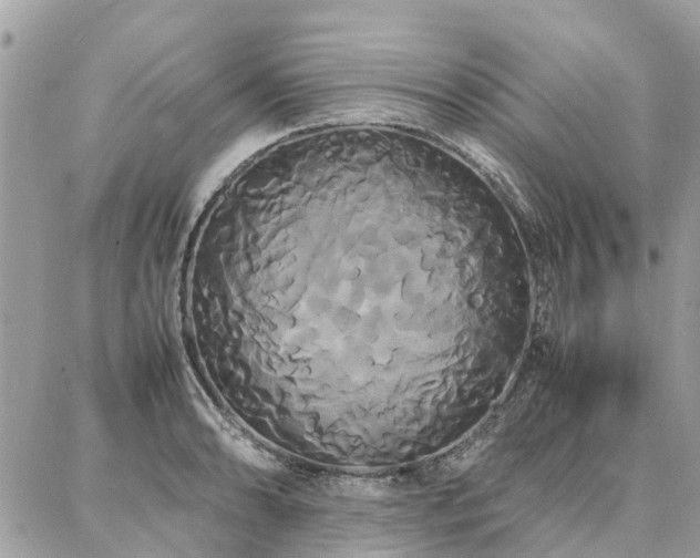 X0000086791086200704131234