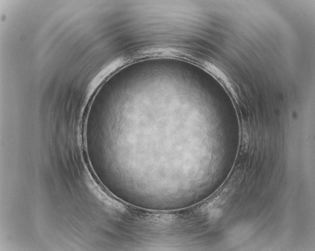 X0000086791090200704131234