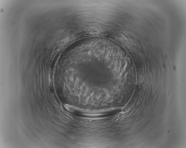 X0000086791106200704131233