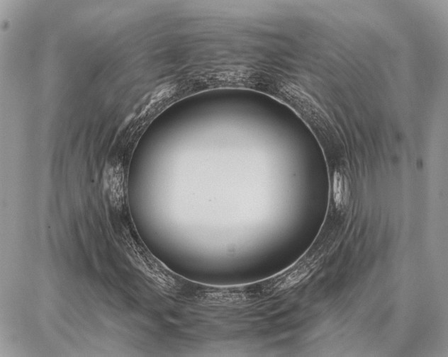 X0000086791107200704131233