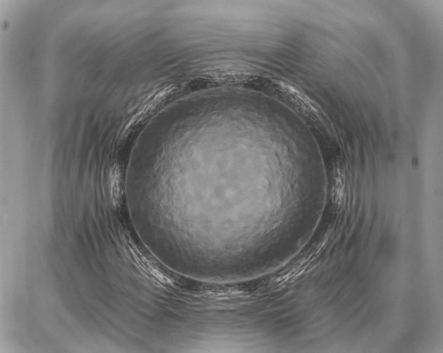 X0000086791108200704131233