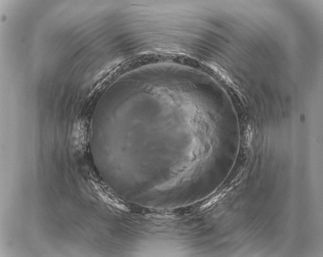 X0000086791110200704131233