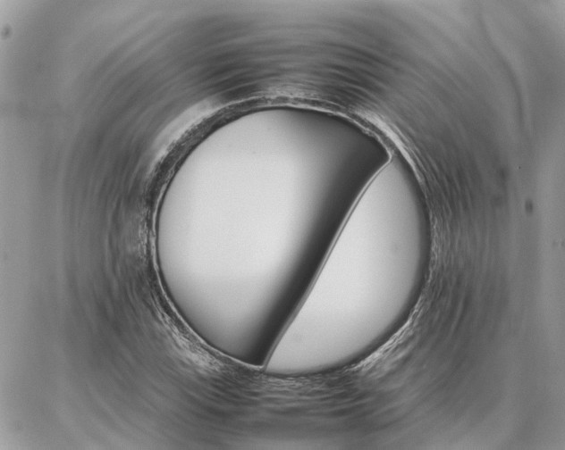 X0000086791115200704131233