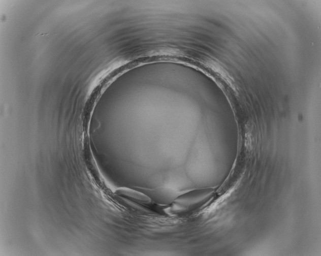 X0000086791117200704131233