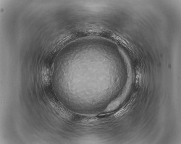 X0000086791156200704131233