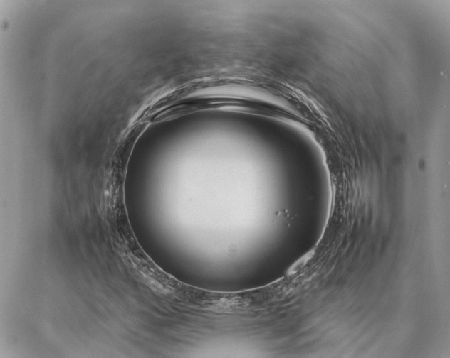 X0000086791160200704131232