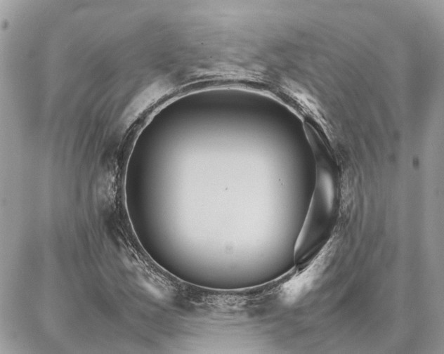 X0000086791163200704131232