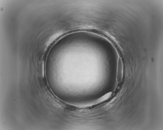 X0000086791171200704131232