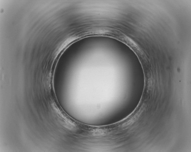 X0000086791178200704131232