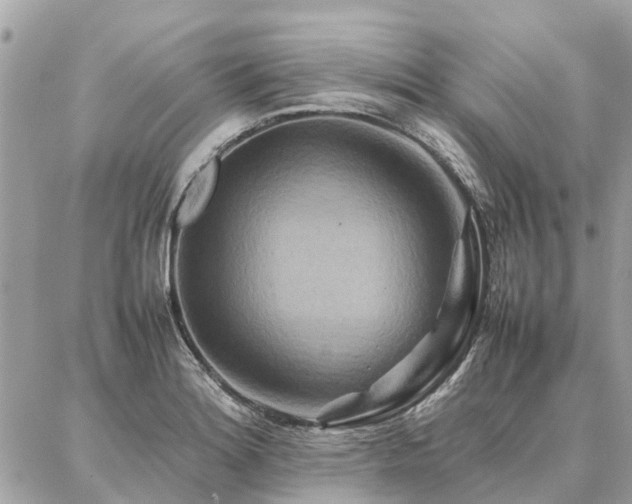 X0000086791180200704131232