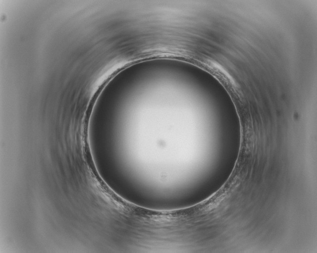 X0000086791182200704131232