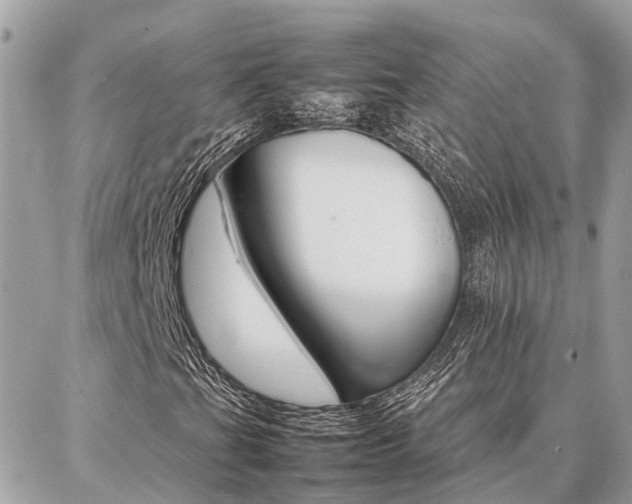 X0000086791201200704131231