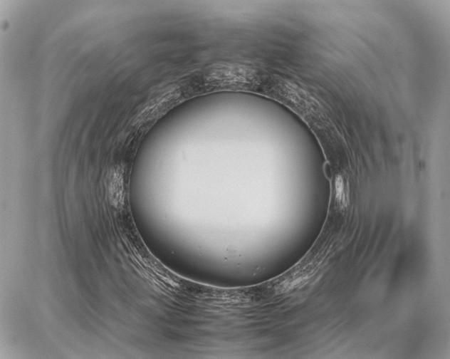 X0000086791203200704131231