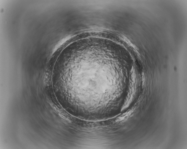 X0000086791208200704131231