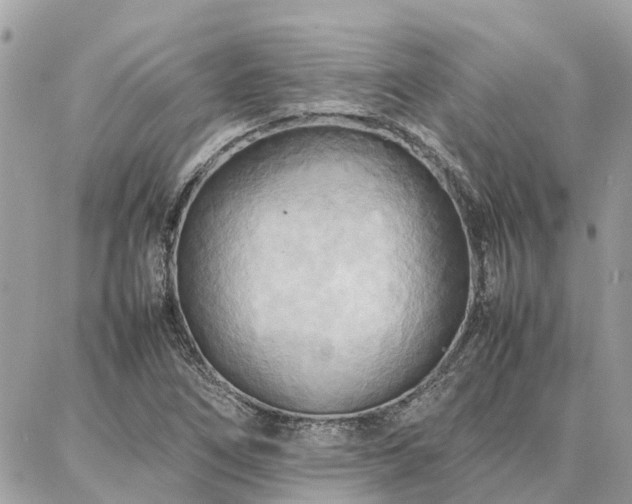 X0000086791266200704131231