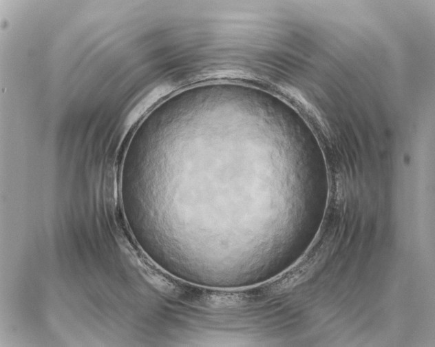 X0000086791274200704131231