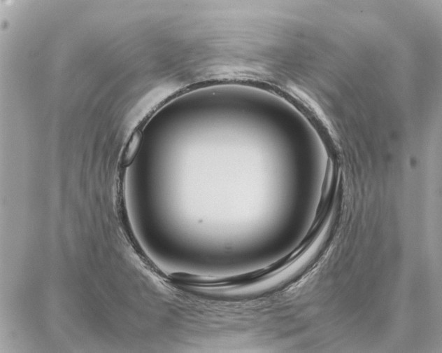 X0000086791277200704131230