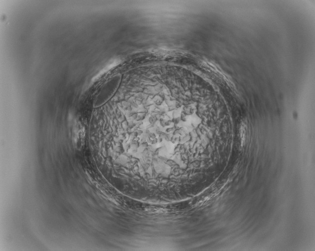 X0000086791302200704131229
