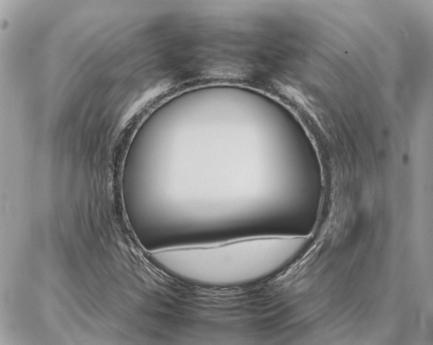 X0000086791307200704131230