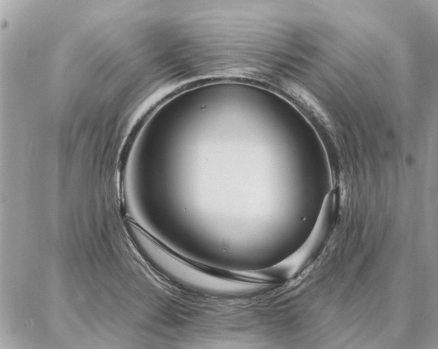 X0000086791324200704131230