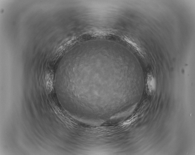 X0000086791348200704131229