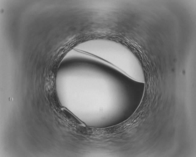 X0000086791349200704131229