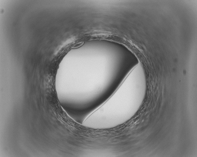 X0000086791351200704131229