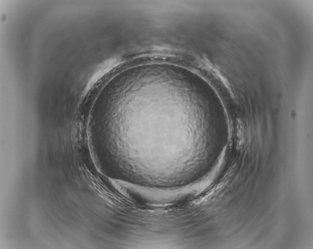 X0000086791352200704131229