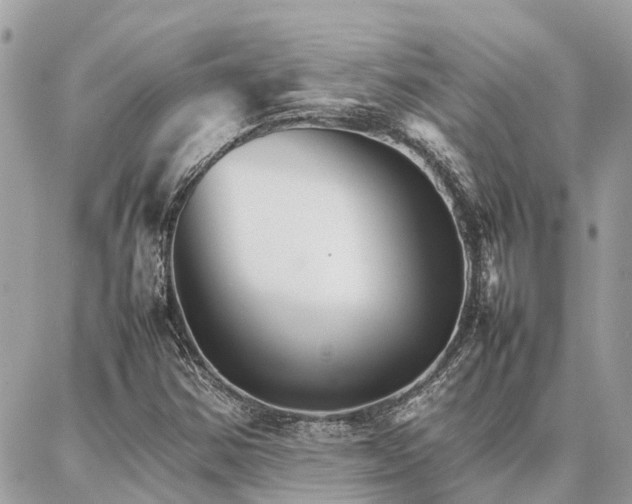 X0000086791354200704131229