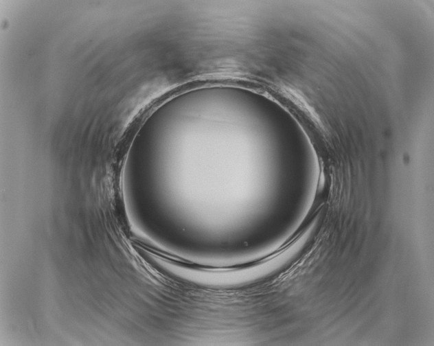 X0000086791356200704131229