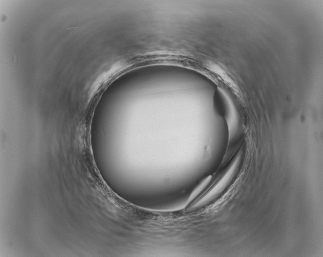 X0000086791357200704131229