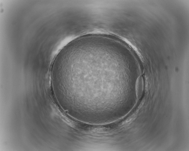 X0000086791367200704131229