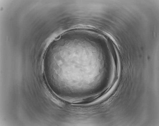 X0000086791371200704131229