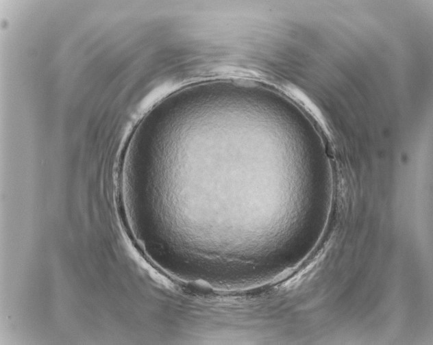 X0000086791381200704131229
