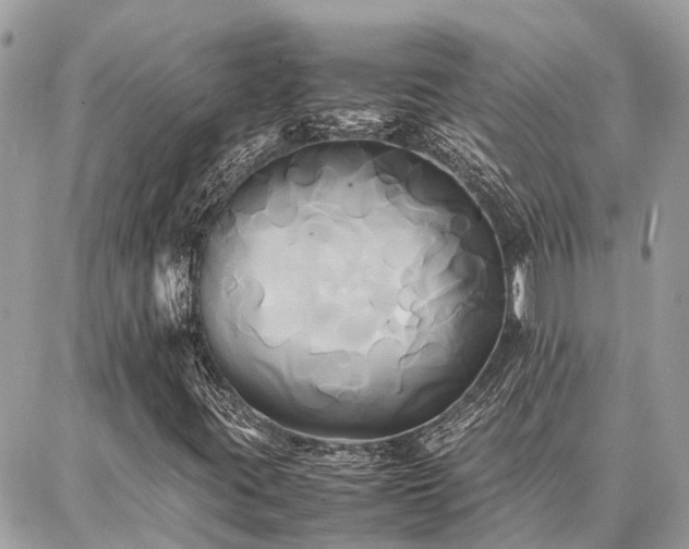 X0000086791395200704131228