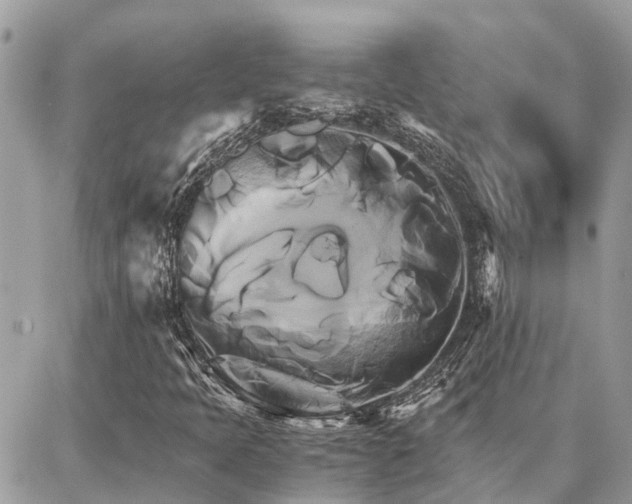 X0000086791397200704131228