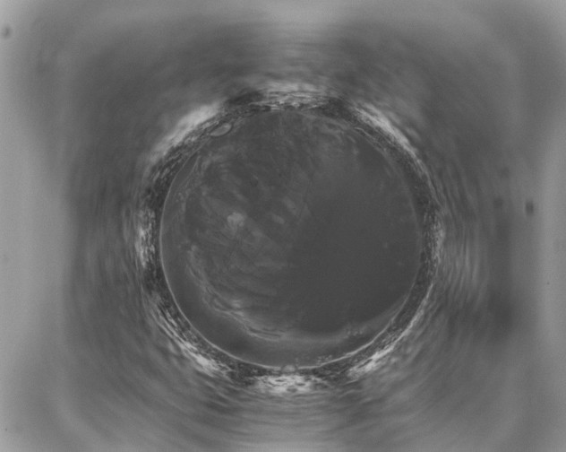 X0000086791399200704131228