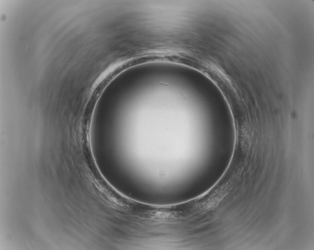 X0000086791412200704131228