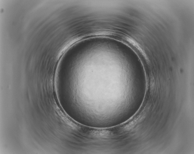 X0000086791417200704131228