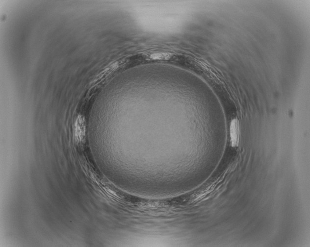 X0000086791443200704131228