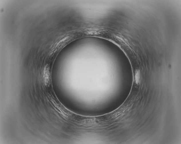 X0000086791444200704131228