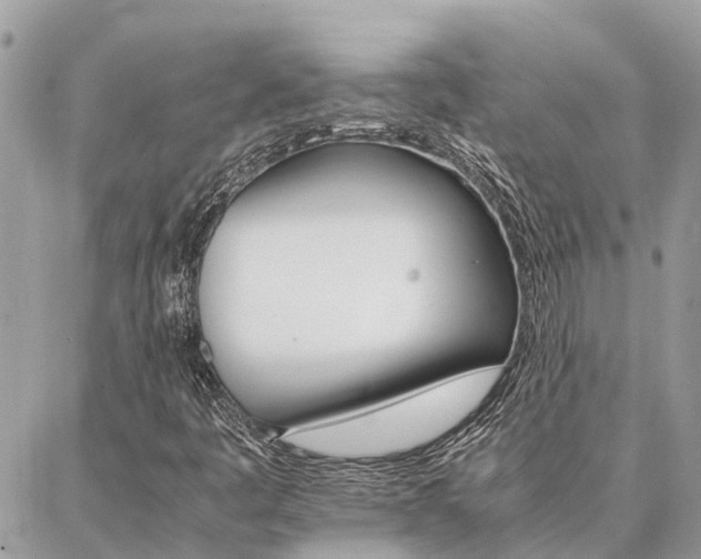 X0000086791445200704131228